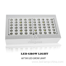 High Lumen Full Spectrum LED Grow Light